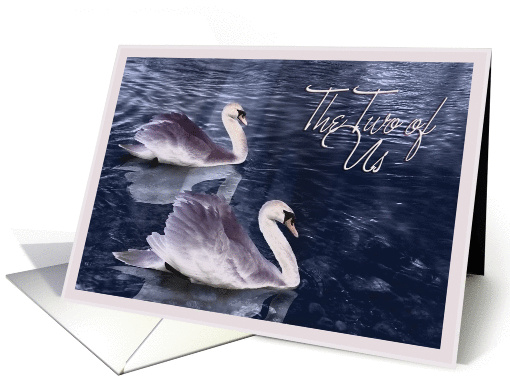 Anniversary - The Two of Us (swans) card (348837)