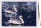 Anniversary - The Two of Us (swans) card