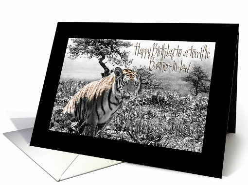 Birthday - Brother-in-law (Tiger) card (358985)