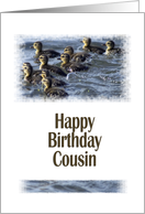 Birthday - Cousin (Ducklings) card