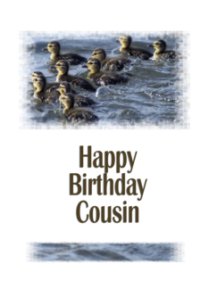 Birthday - Cousin ...