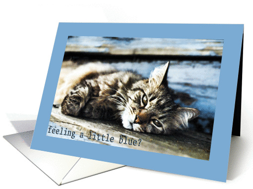 Feeling Blue - Encouragement (Cat) card (359077)