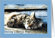 Feeling Blue - Encouragement (Cat) card