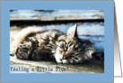 Feeling Blue - Encouragement (Cat) card