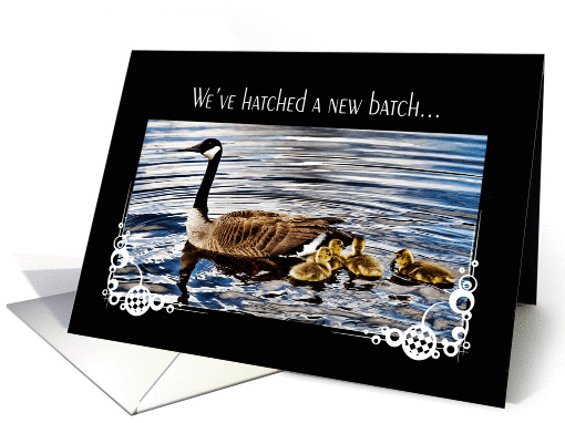 Easter Goslings card (359094)