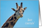 Just Checkin’ - Giraffe - Birthday Friend card
