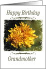 Birthday - Grandmother card