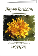 Birthday - Mother -...