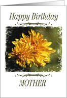 Birthday - Mother - 2 card