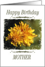 Birthday - Mother - 2 card