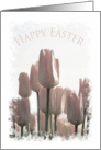 Easter - Pink Tulips card