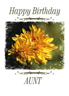 Birthday - Aunt