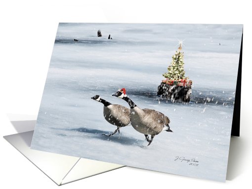 Christmas Geese card (522764)