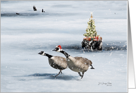 Christmas Geese card