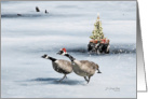 Christmas Geese card