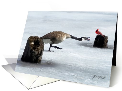 Winter Goose & Cardinal card (522765)