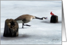 Winter Goose & Cardinal card