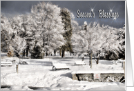 Merry Christmas - Heavy Snow covering trees and park grounds. card