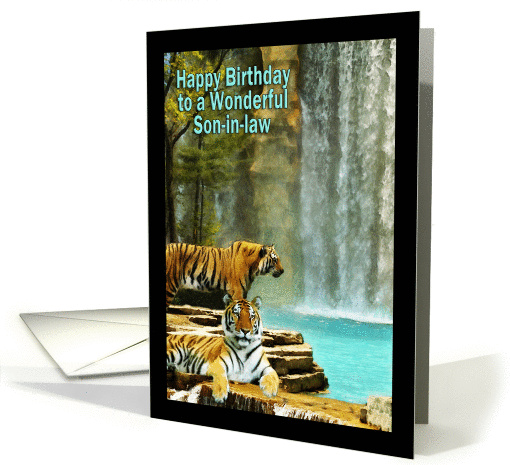 Birthday - Wonderful Son-in-Law (Tigers by Waterfall) card (883402)