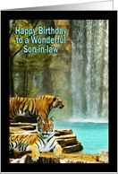 Birthday - Wonderful Son-in-Law (Tigers by Waterfall) card