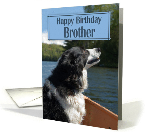 Birthday for Brother - Border Collie in Boat card (884860)