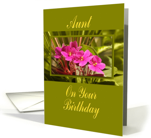 Birthday - Aunt with Magenta African Violets card (885576)