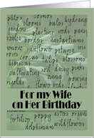 Wife on Birthday - Garden Themed with Hosta Background card