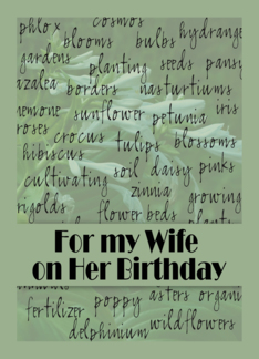 Wife on Birthday -...