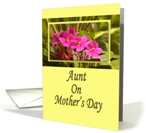 Aunt on Mother's Day - Pink African Violets card (887685)