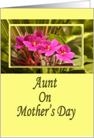 Aunt on Mother’s Day - Pink African Violets card