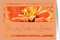 Sister on Birthday - Orange Zinnia card