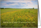 Wildflower Hillside Field Of Yellow Coreopsis Blank Note Card