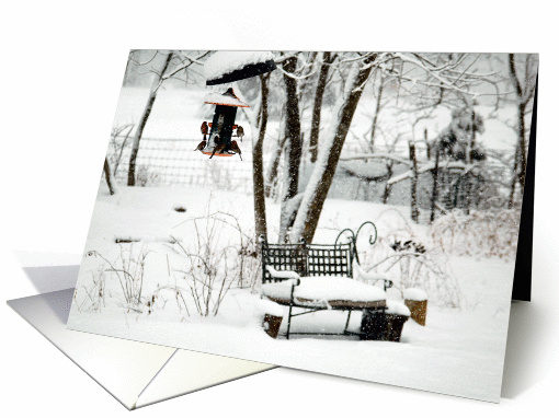 Finches Feeding in Winter Garden card (315766)