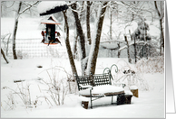 Finches Feeding in Winter Garden card