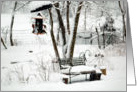 Finches Feeding in Winter Garden card