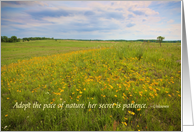 Wildflower Hillside Field Of Yellow Coreopsis Blank Note Card
