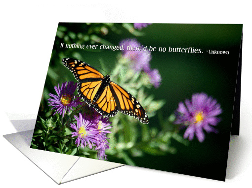 Monarch Butterfly On Purple Fall Aster Blank Note card (949592)
