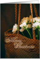 Cosy Marry christmas card