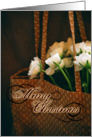 Cosy Marry christmas card