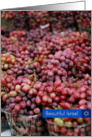 Beautiful Israel-grapes card