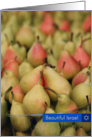 Beautiful Israel-Pears card