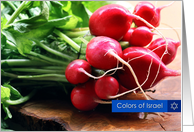 Beautiful Israel-Small Radish card
