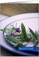 Beautiful Israel-Herb Bouquet card