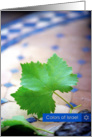 Beautiful Israel-Vine Leaf card