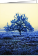 The Tree card