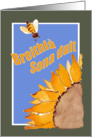 Happy Birthday - Irish - Sunflower and Bee card