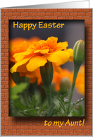 Happy Easter - Aunt card
