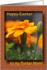 Happy Easter - foster Mom card