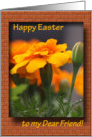 Happy Easter - friend card
