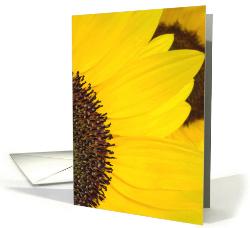 Sunflowers card (317159)